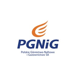 Logo PGNiG